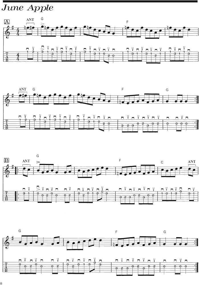 Amazon.com: Hot Licks for Bluegrass Guitar Book - Fingerstyle