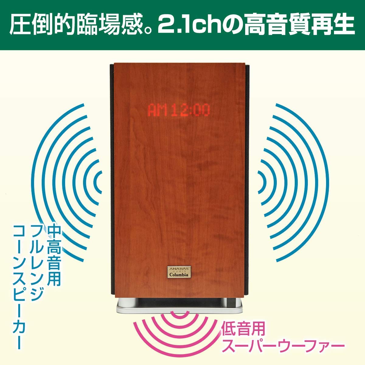 Amazon.co.jp: ユーキャン アナバス オーディオ 名曲100曲内蔵