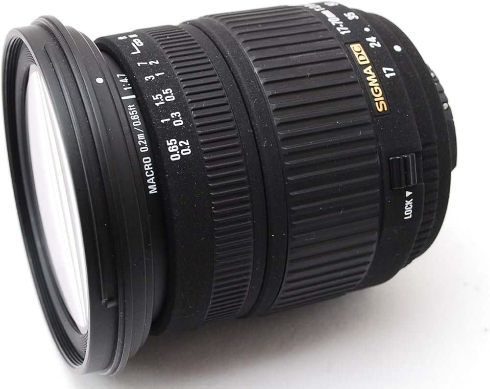 Amazon.co.jp: SIGMA シグマ AF 17-70mm F2.8-4.5 DC for Nikon : 家電
