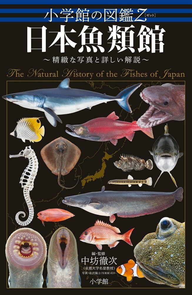 Amazon.co.jp: 小学館の図鑑Z 日本魚類館: ~精緻な写真と詳しい解説