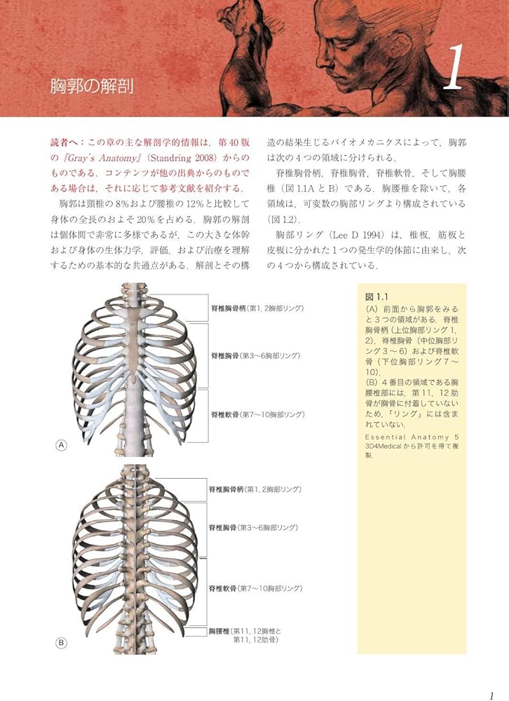 胸郭 統合アプローチ | Diane Lee, 石井 美和子 |本 | 通販 | Amazon