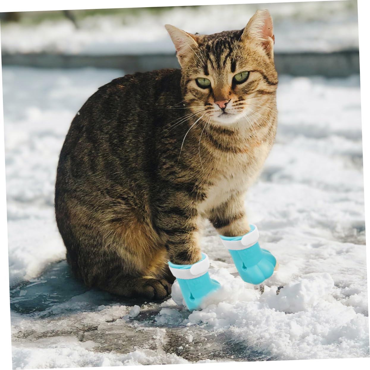 Amazon | POPETPOP 4個 ペットフットカバー 猫用の猫靴 子猫用の靴