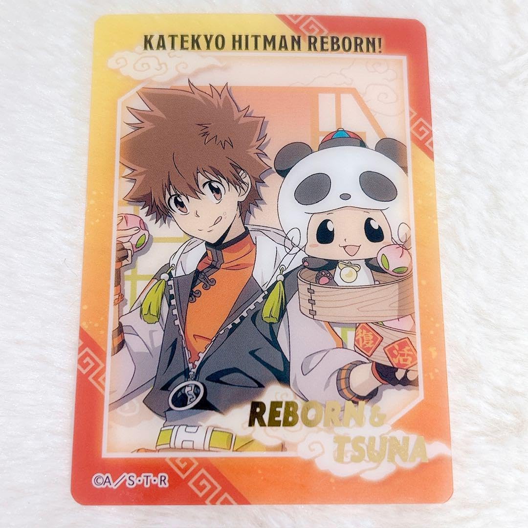 REBORN CCG BOX購入特典 セパレーター 仕切り リボーン 沢田綱吉