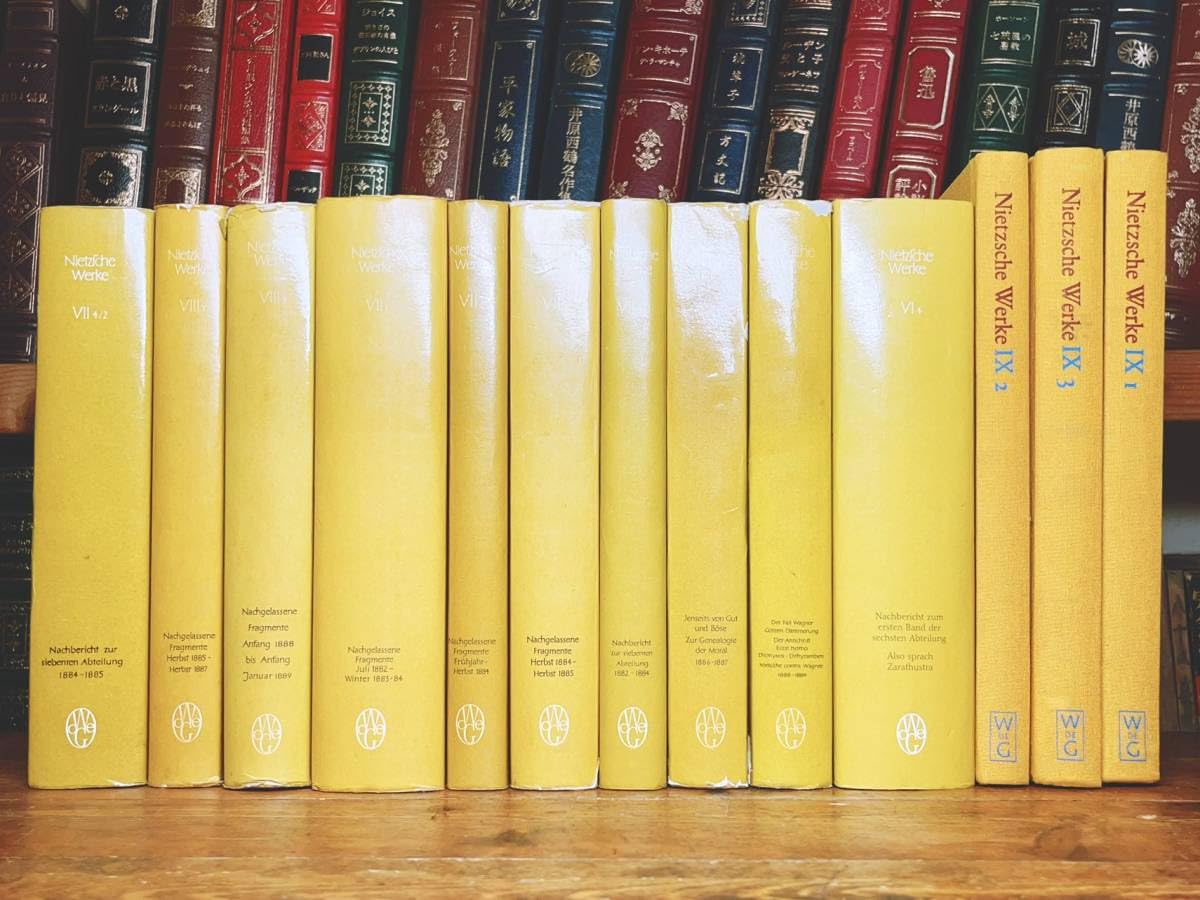 Heidegger著 Nietzsche全2巻 ドイツNeske社刊 Heidegger著 Nietzsche全2巻