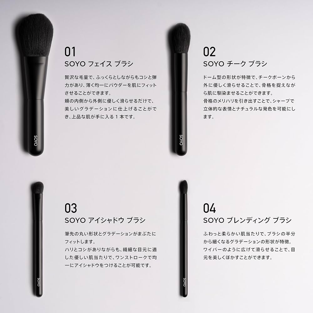 Amazon.co.jp: SOYO Excellence Set (14 Pieces + Case Included) : Beauty