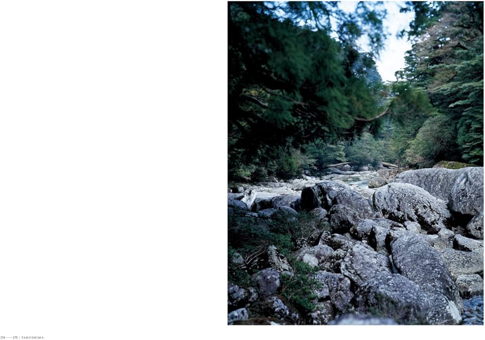 上田義彦写真集 FOREST ー 印象と記憶 1989-2017 | 上田 義彦 |本