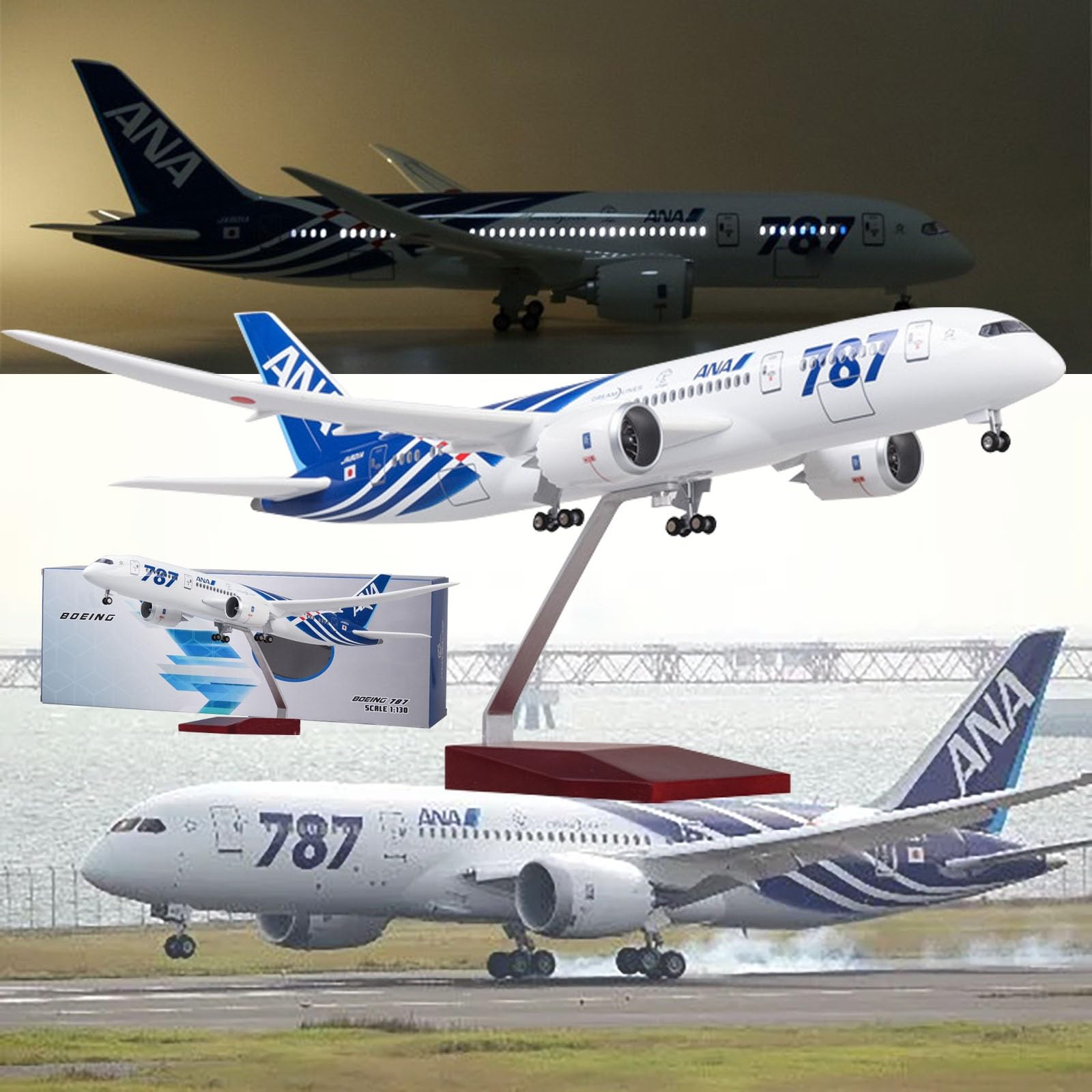 Amazon.co.jp: 16.9 インチ 1:130 スケールモデル飛行機 ANA B787