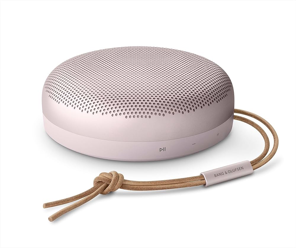 Amazon.com: Bang & Olufsen Beosound A1 (2nd Generation) Wireless