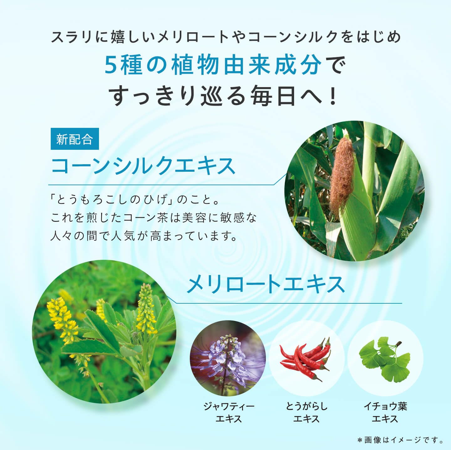 Amazon | DHC メリロートPlus 30日分(60粒) サプリメント | DHC