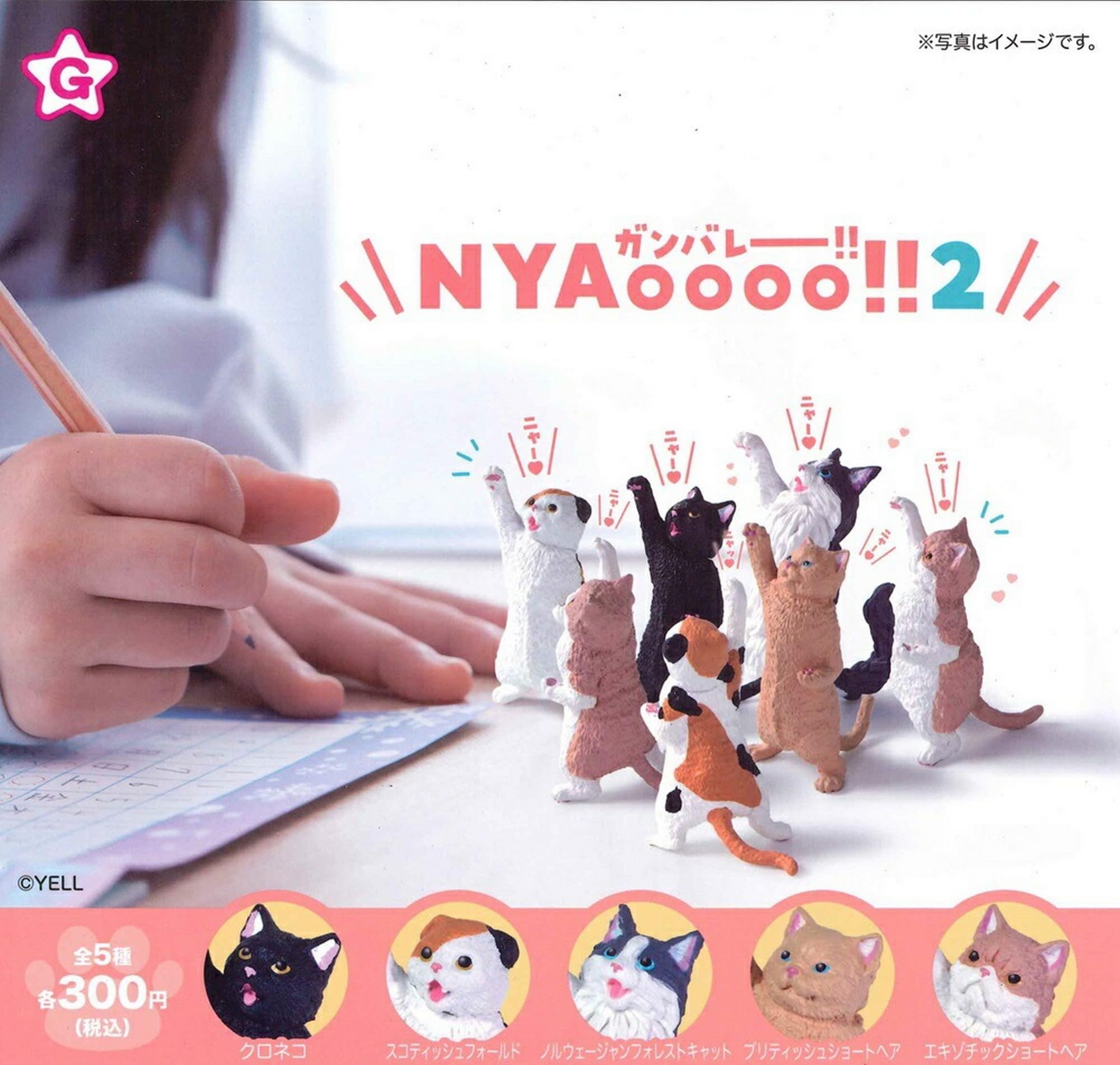 Amazon | エール ガンバレー!! NYAoooo!!2 × 全5種セット フルコンプ