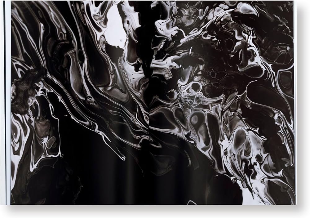 SANDWICH [Paperback] 名和晃平 and KOHEI NAWA [Paperback] 名和晃平