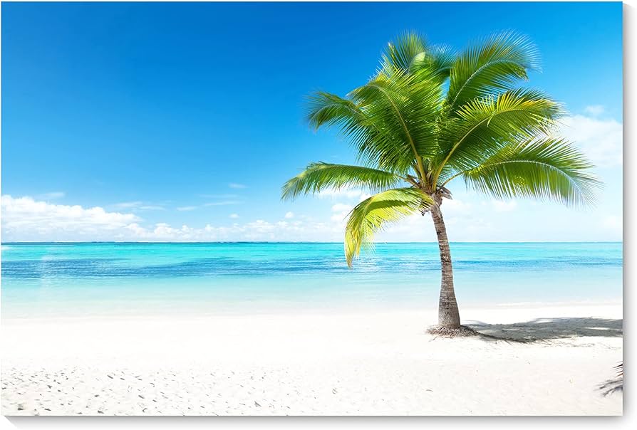 Amazon.co.jp: 海の絵 アートパネル 海 ヤシの木 絵画 青空 白雲