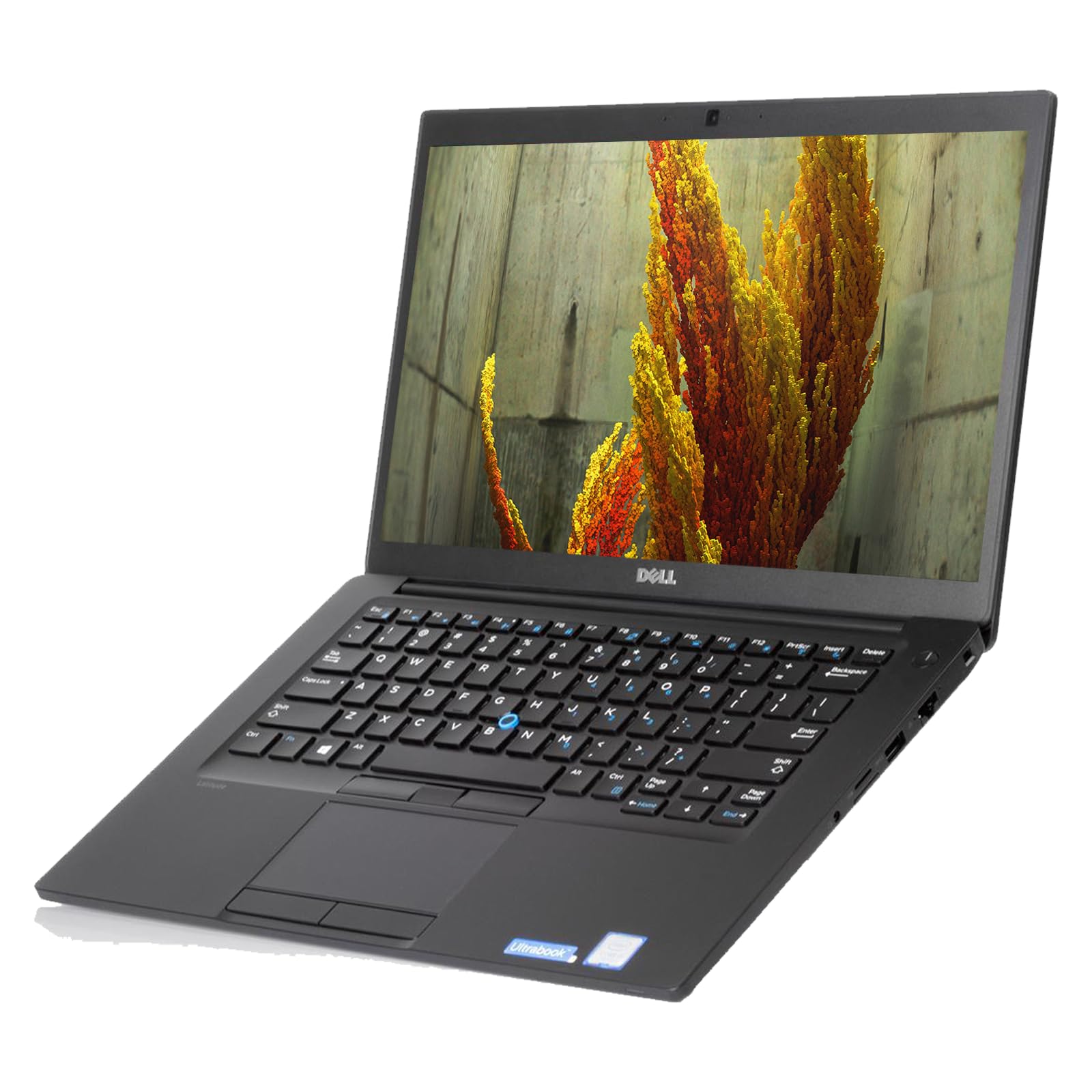 Amazon.com: Dell Latitude 7480 Business Laptop Computer Win11 pro