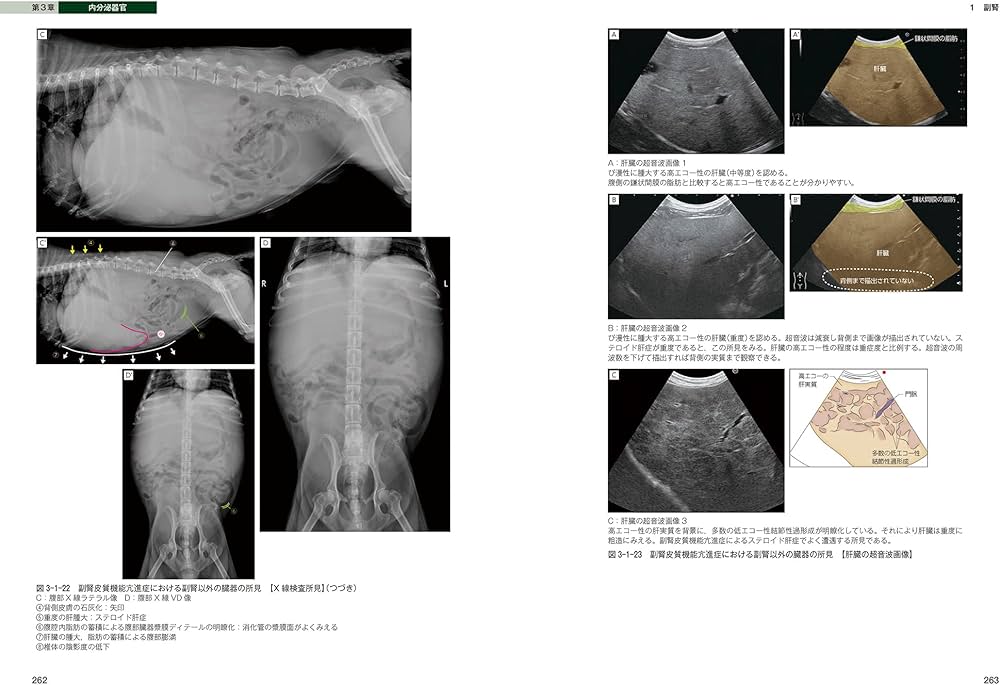 犬と猫のベーシック画像診断学 骨と関節/頭部/脊柱/内分泌器官編