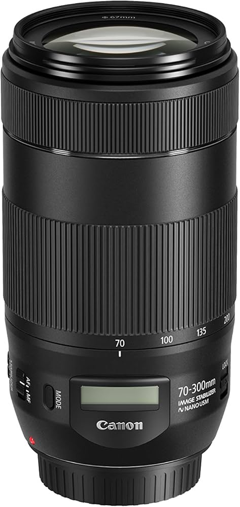 Canon Ef 70-300Mm F / 4-5.6 É Ii Lente De Usm Preto | Amazon.com.br