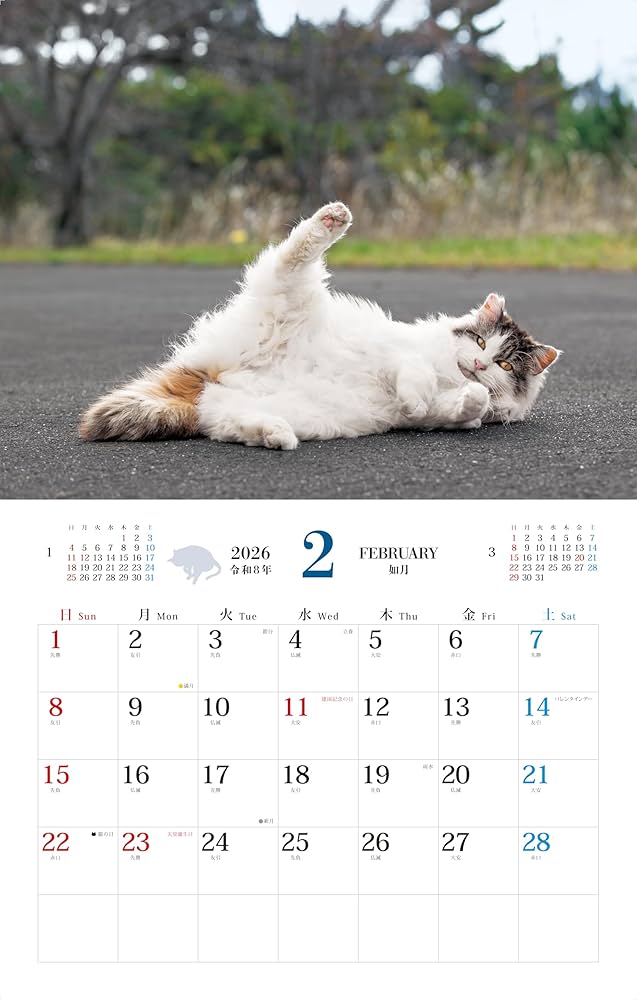 カレンダー2026 そとねこ（月めくり/壁掛け/600mm×380mm） (インプレス