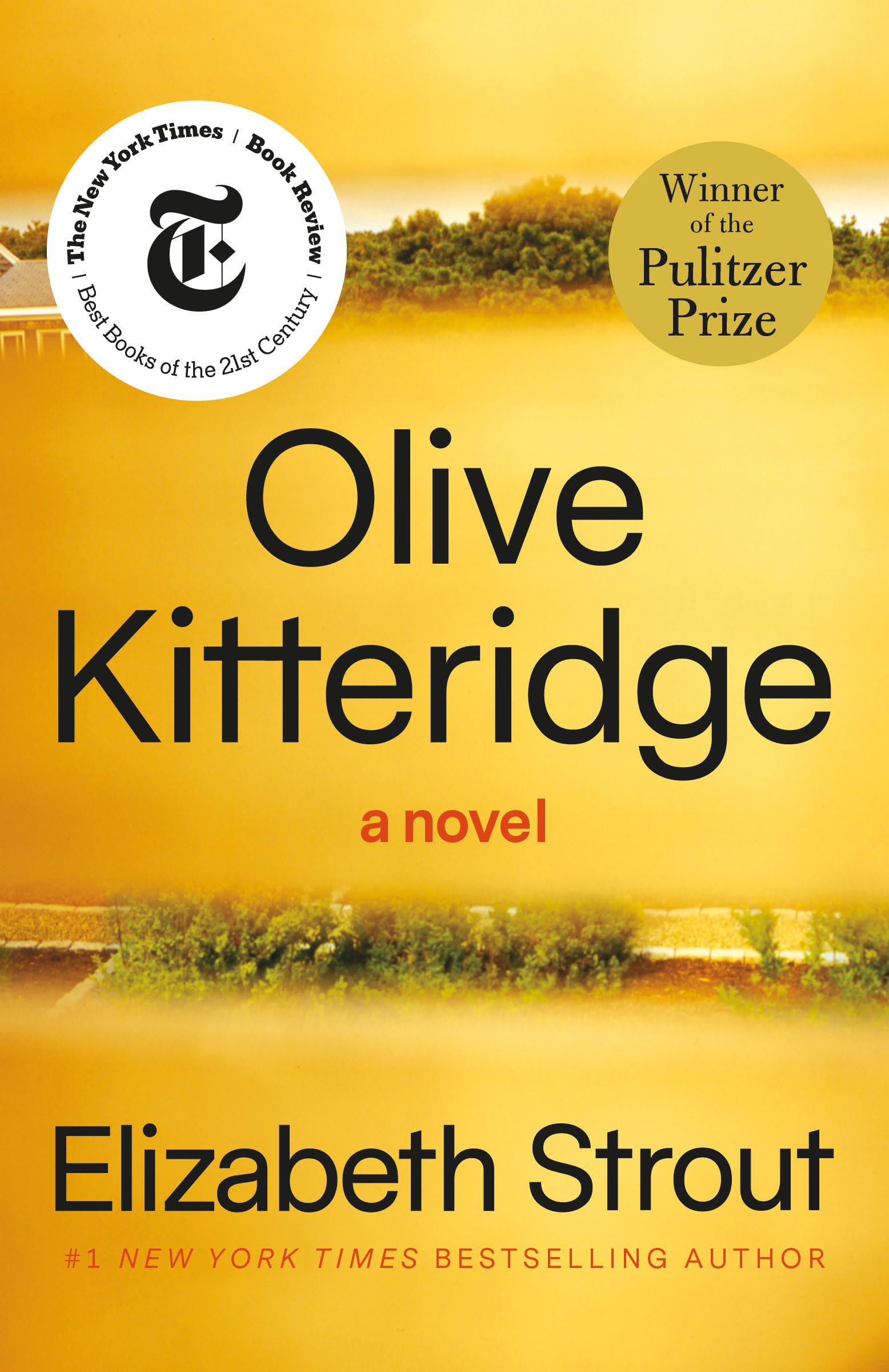 Olive Kitteridge : Strout, Elizabeth: Amazon.ca: Books