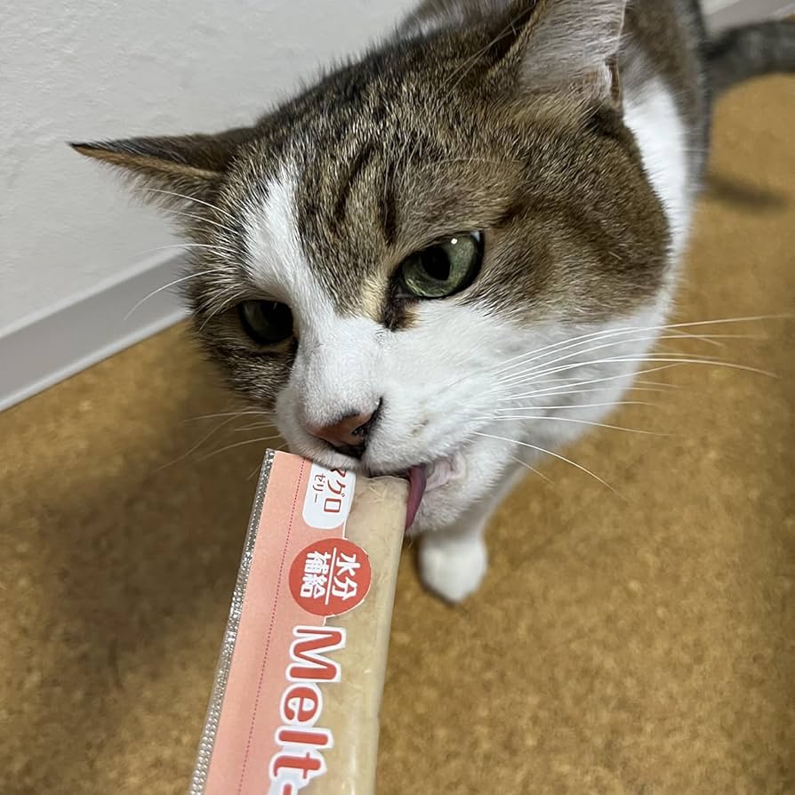 Amazon.co.jp: ペティオ (Petio) メルトジュレ 水分補給 マグロゼリー