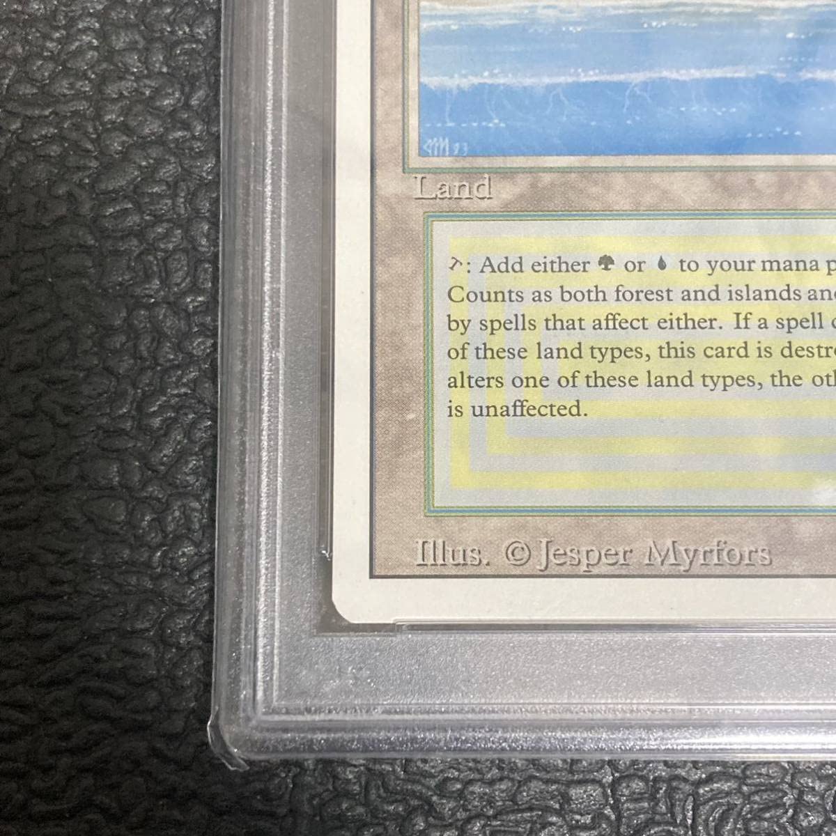 鑑定品】tropical トロピカルアイランド リバイズド Amazon.co.jp: PSA