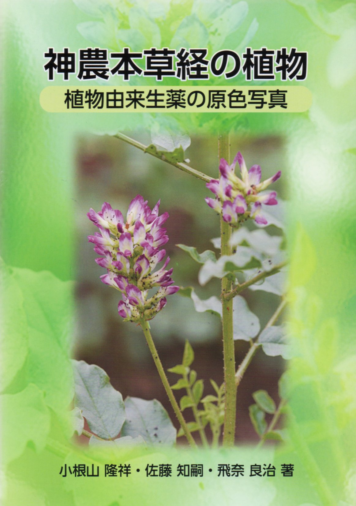 神農本草経の植物 | 小根山隆祥, 佐藤知嗣, 飛奈良治 |本 | 通販 | Amazon