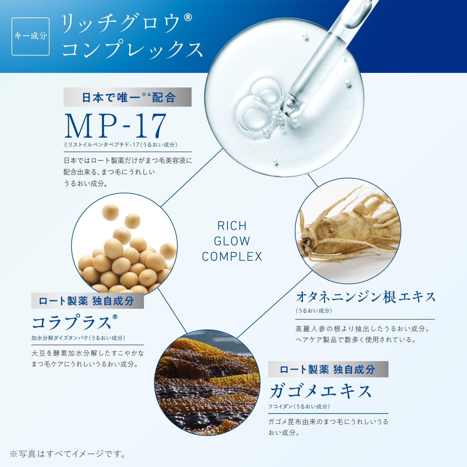 Amazon.co.jp: 【Official】Roth Pharmaceutical Lash Rich Eyelash