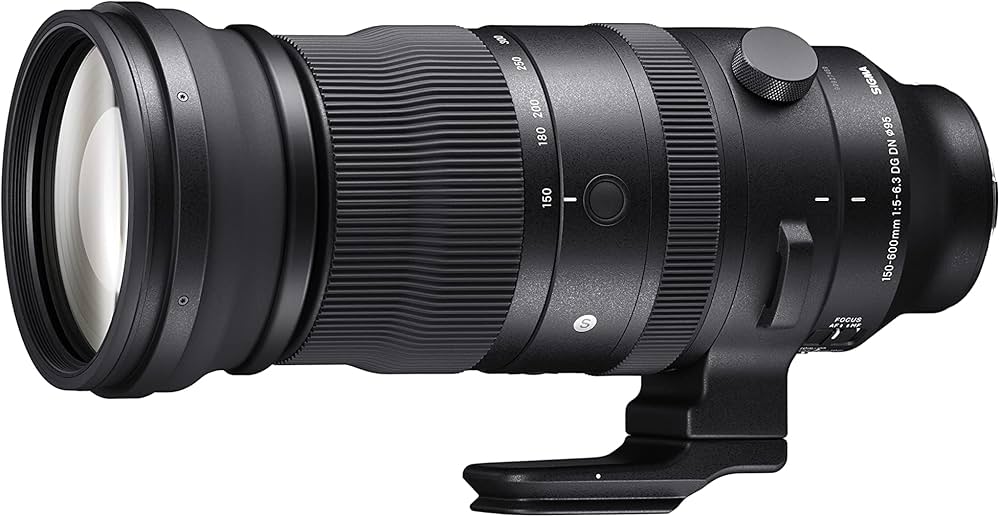 Amazon.co.jp: シグマ(Sigma) レンズ 150-600mm F5-6.3 DG DN OS Sony