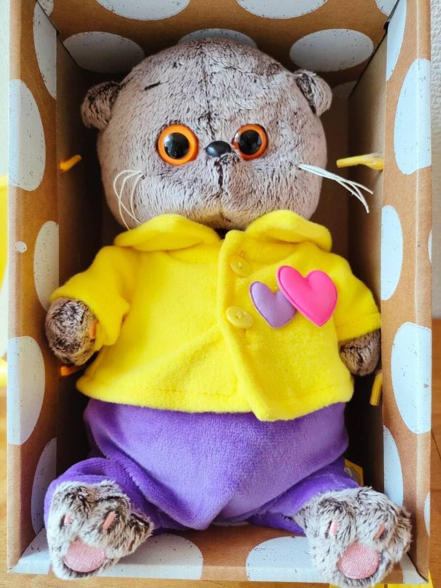 やーゆー様専用 デュアルカウル 傷 塗装割れ Q4698216