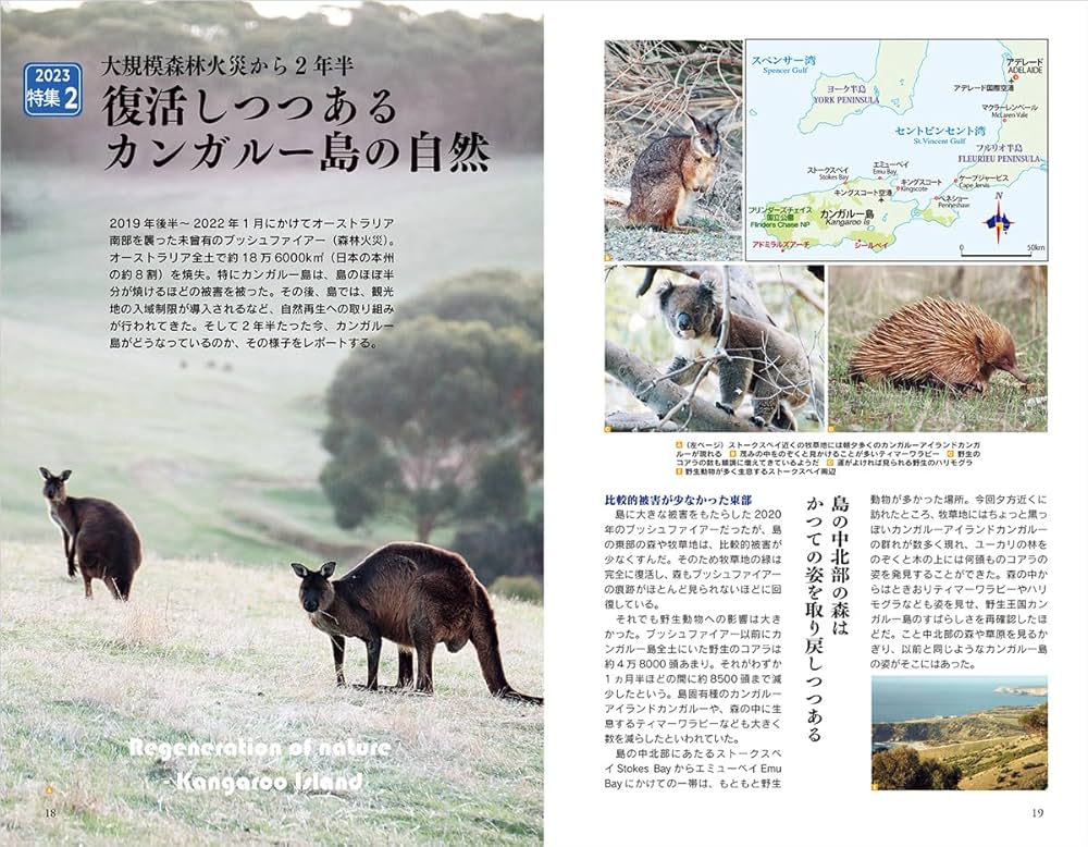 C11 地球の歩き方 オーストラリア 2023~2024 (地球の歩き方C ハワイ南