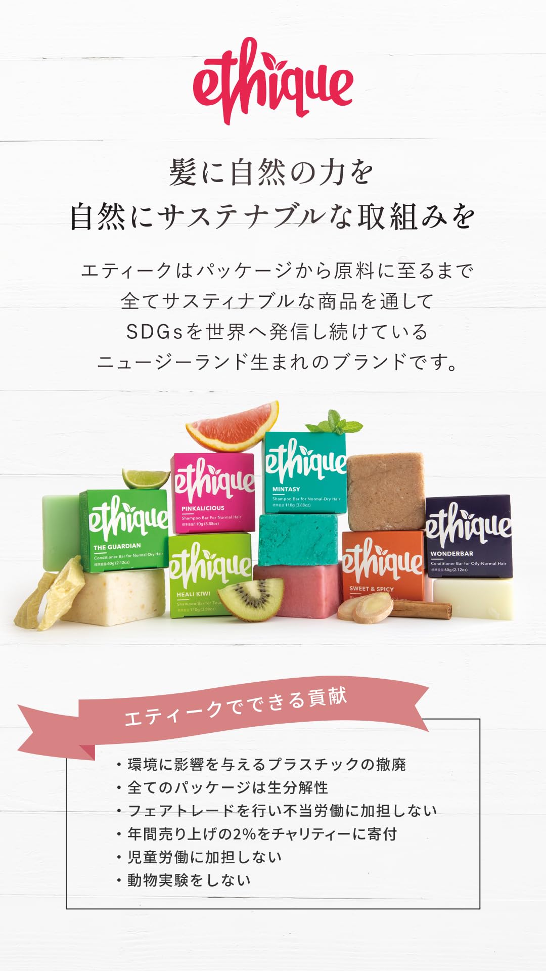 Amazon | エティーク 固形シャンプー コンディショナー セット [ 水