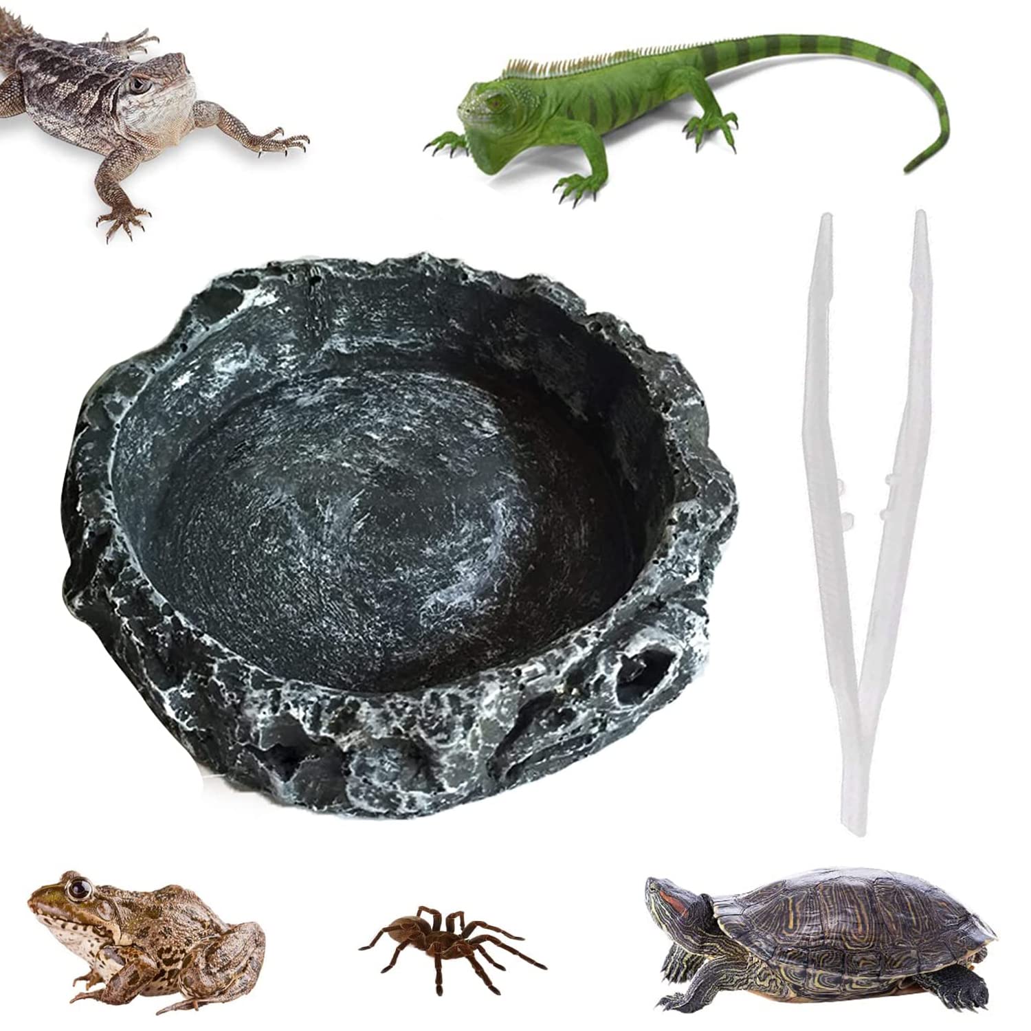 Amazon | ウォーターディッシュ 爬虫類 両生類 水飲み場 給餌