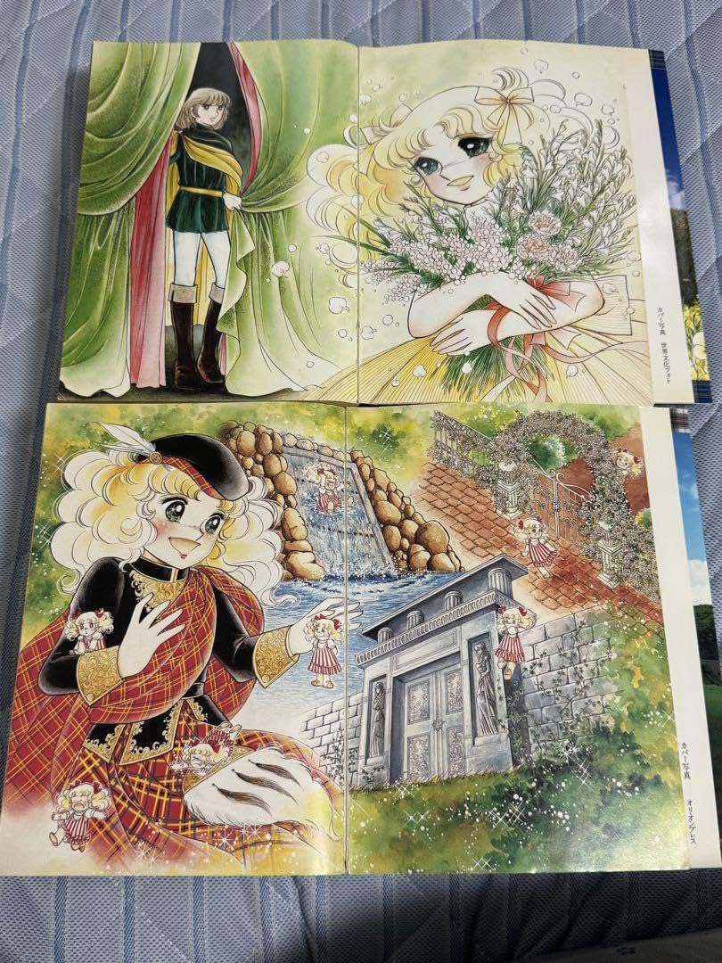 Amazon.co.jp: 絶版キャンディキャンディ 愛蔵版 全2巻セット