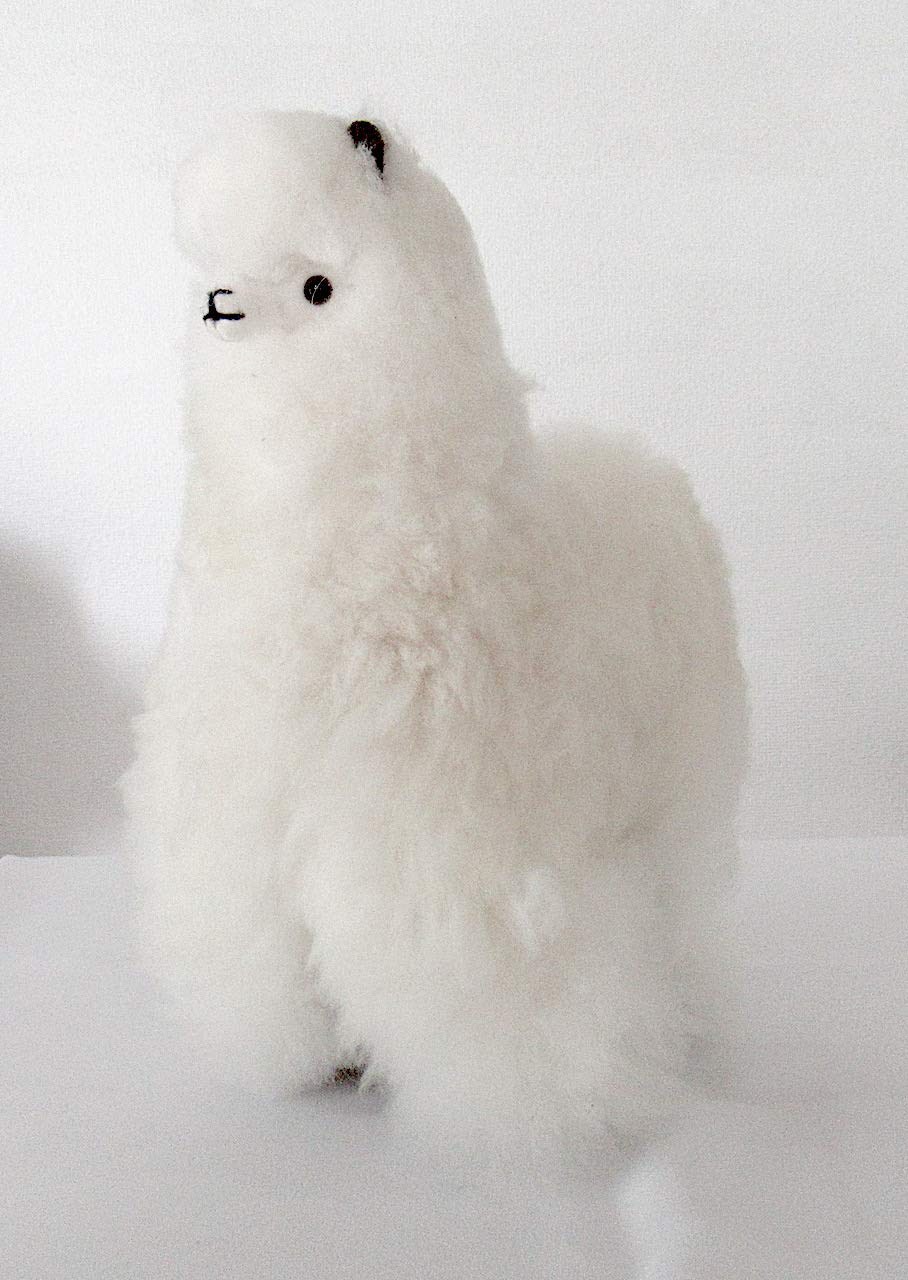 Amazon | 【ALPACA WHITE 26cm】アルパカぬいぐるみ置き物 アルパカ毛