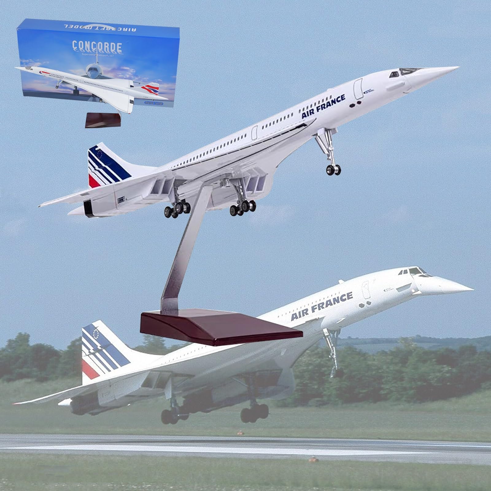 Amazon.co.jp: 19.7インチ 1:125 エールフランス コンコルド モデル