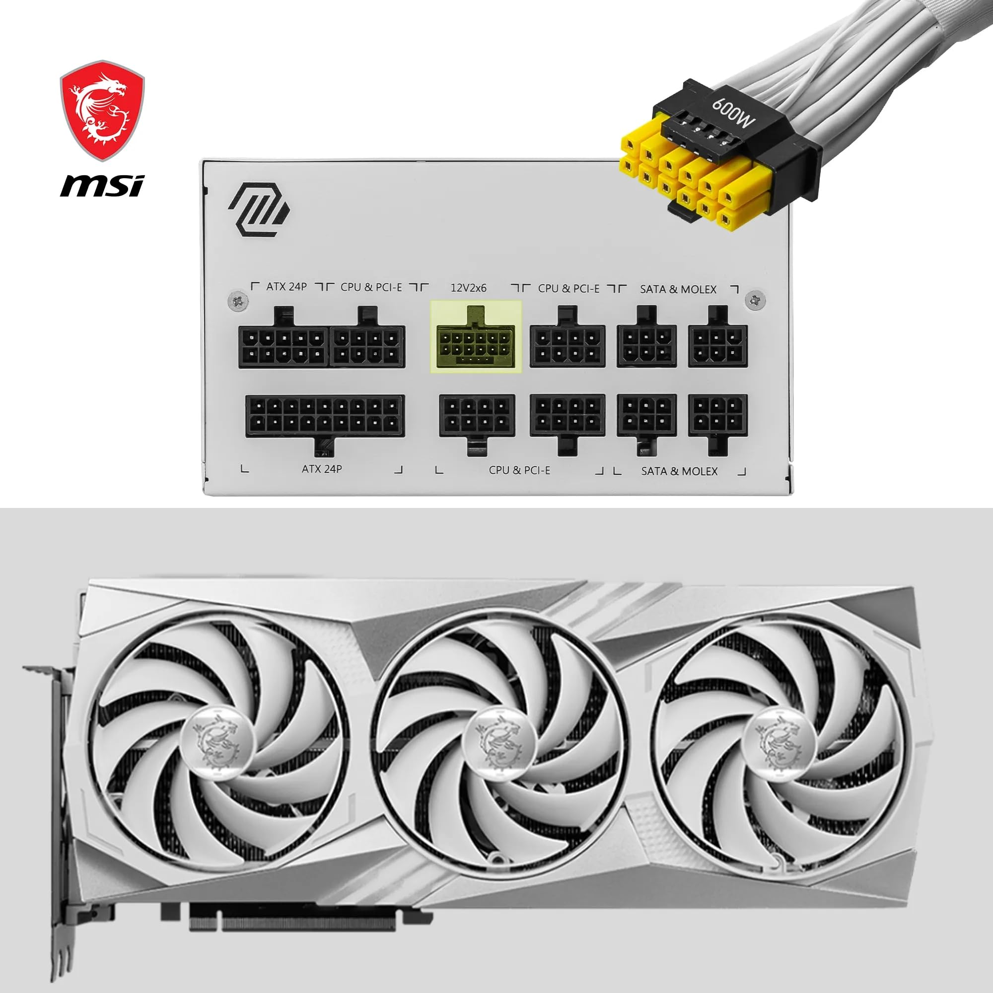 Amazon.com: MAG A850GL PCIE5 White : Electronics