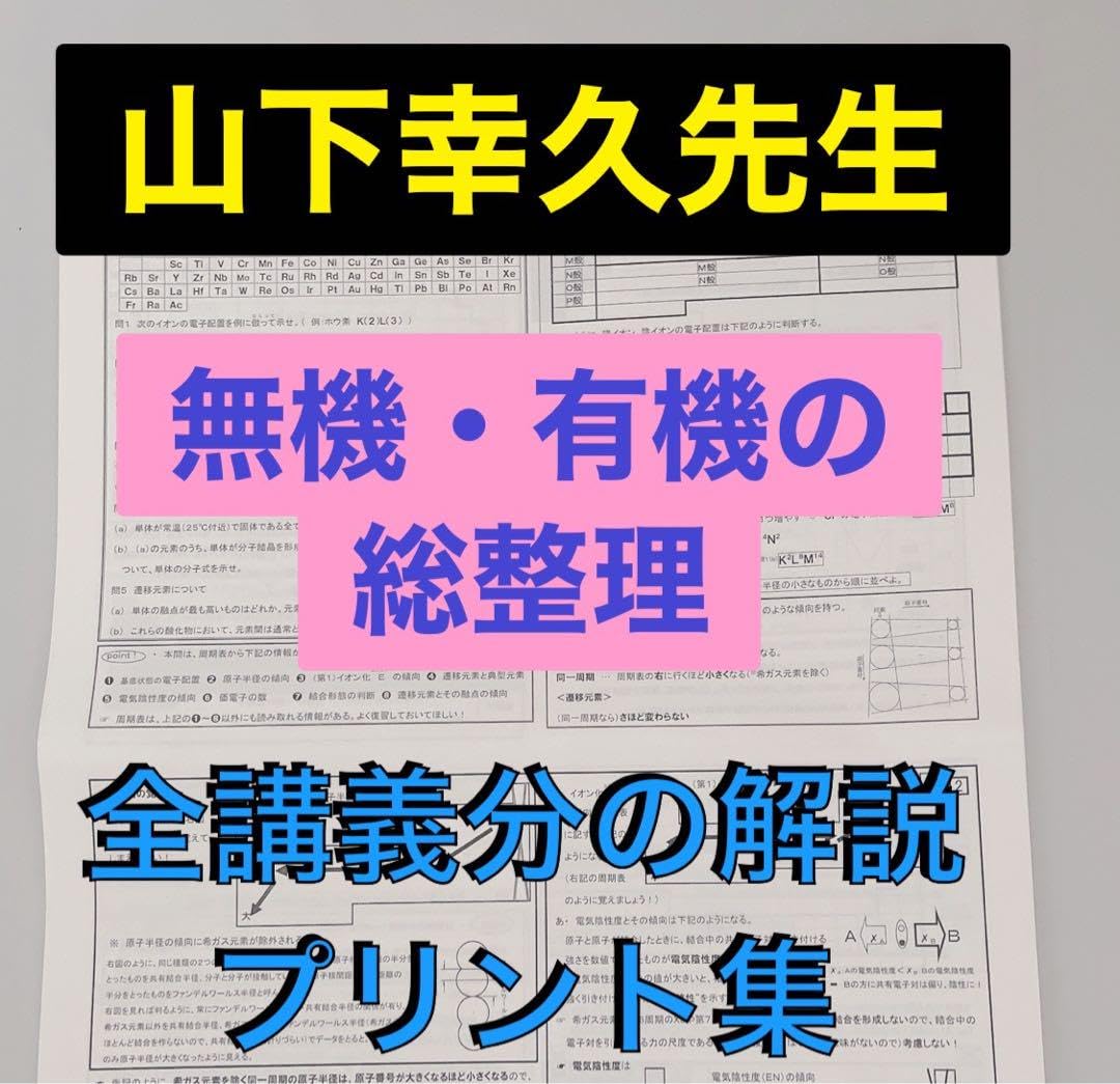 駿台 山下先生 無機・有機化学の総整理 フルセット 河合塾 鉄緑会 Z会