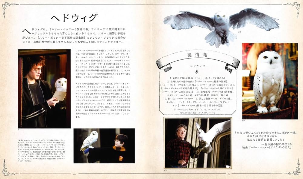 ハリー・ポッター魔法生物大図鑑 (ハリー・ポッター大図鑑) | ジョディ