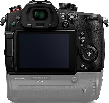 Amazon.com : Panasonic LUMIX GH5S Body 4K Digital Camera, 10.2