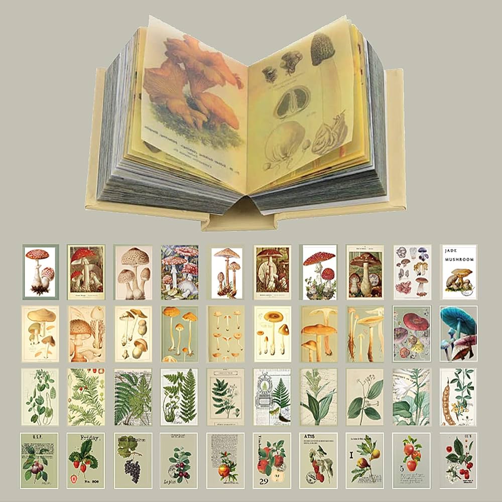 Amazon.co.jp: コラージュ 素材 400枚入り ノート型 デザインペーパー