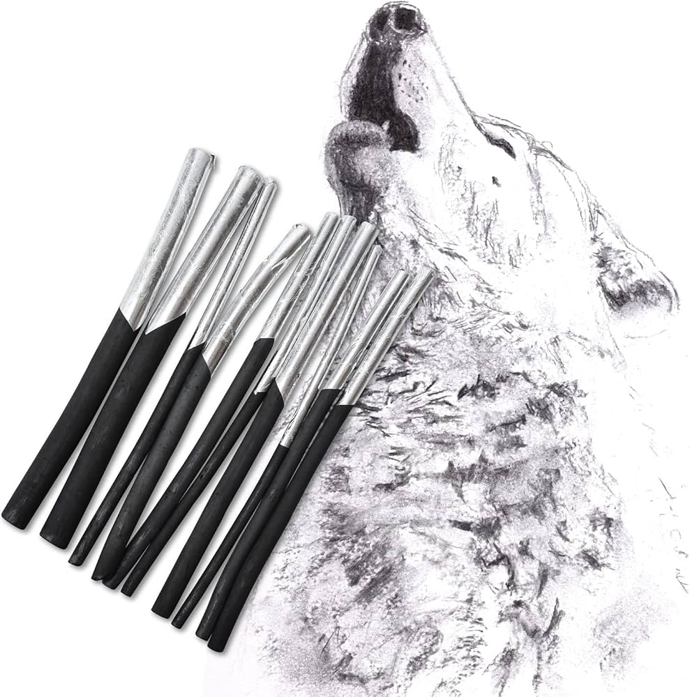 Amazon.co.jp: 木炭 画材 木炭デッサン 【 10本入り/ 手が汚れずご