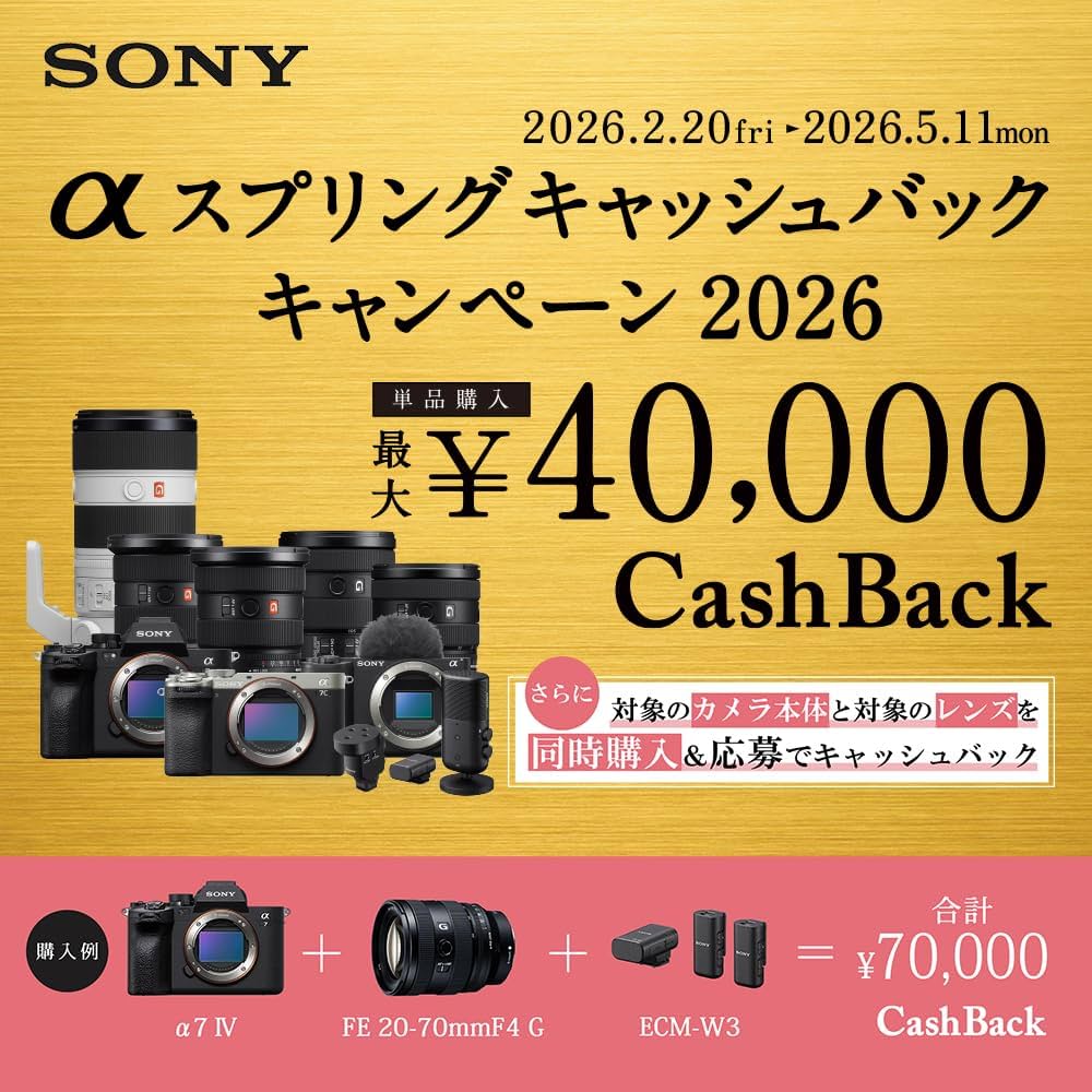 Amazon | SONY(ソニー) 広角単焦点レンズ APS-C E 11mm F1.8 デジタル