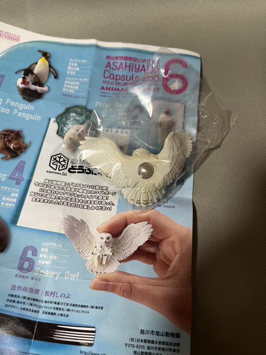 Amazon | 旭山動物園 カプセルズー マグネット vol.6 単品シロフクロウ