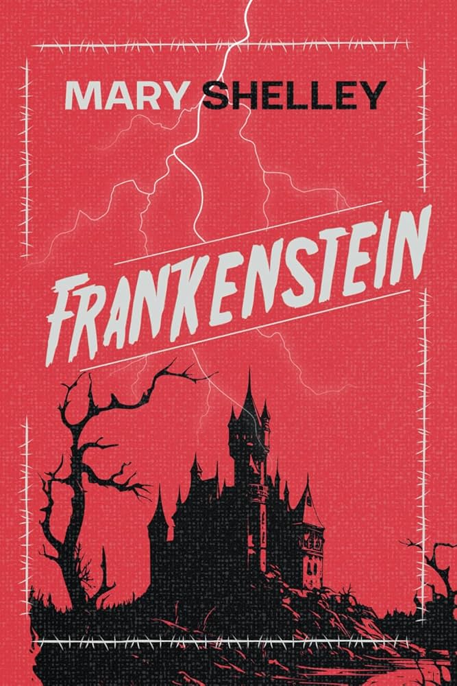 Amazon.com: Frankenstein: 9798340808059: Shelley, Mary: Books