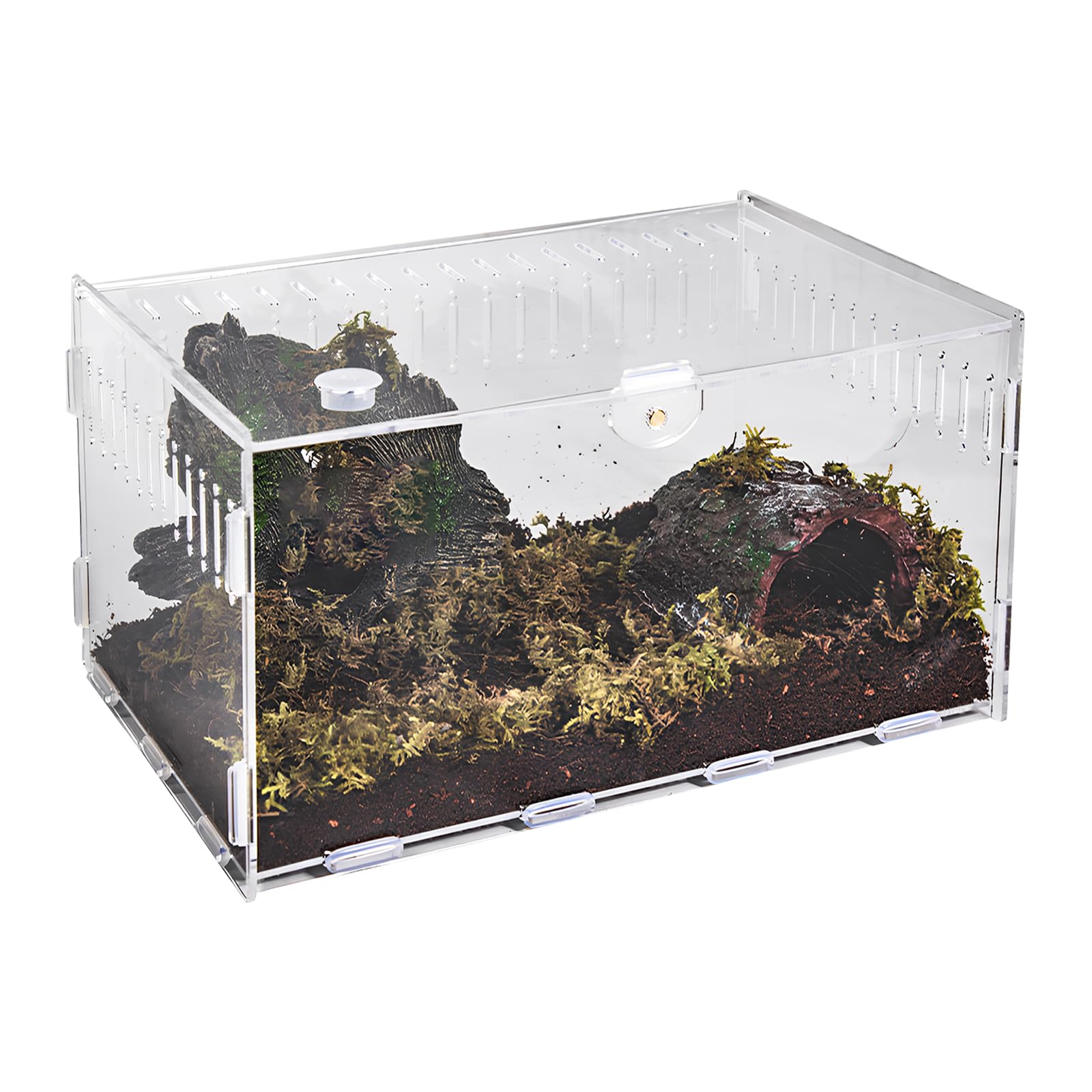 Amazon | 爬虫類 ケージ トカゲ ケージ カナヘビ飼育ケース レプタイル