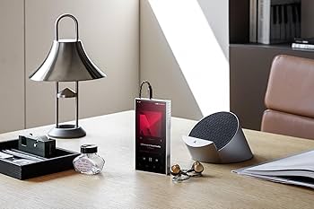 Amazon.co.jp: Astell&Kern PD10 オーディオプレーヤー - ステンレス