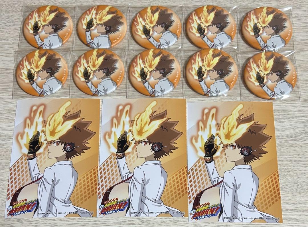 2017 家庭教師ヒットマンREBORN ツナ 沢田綱吉 リボーン カレンダー