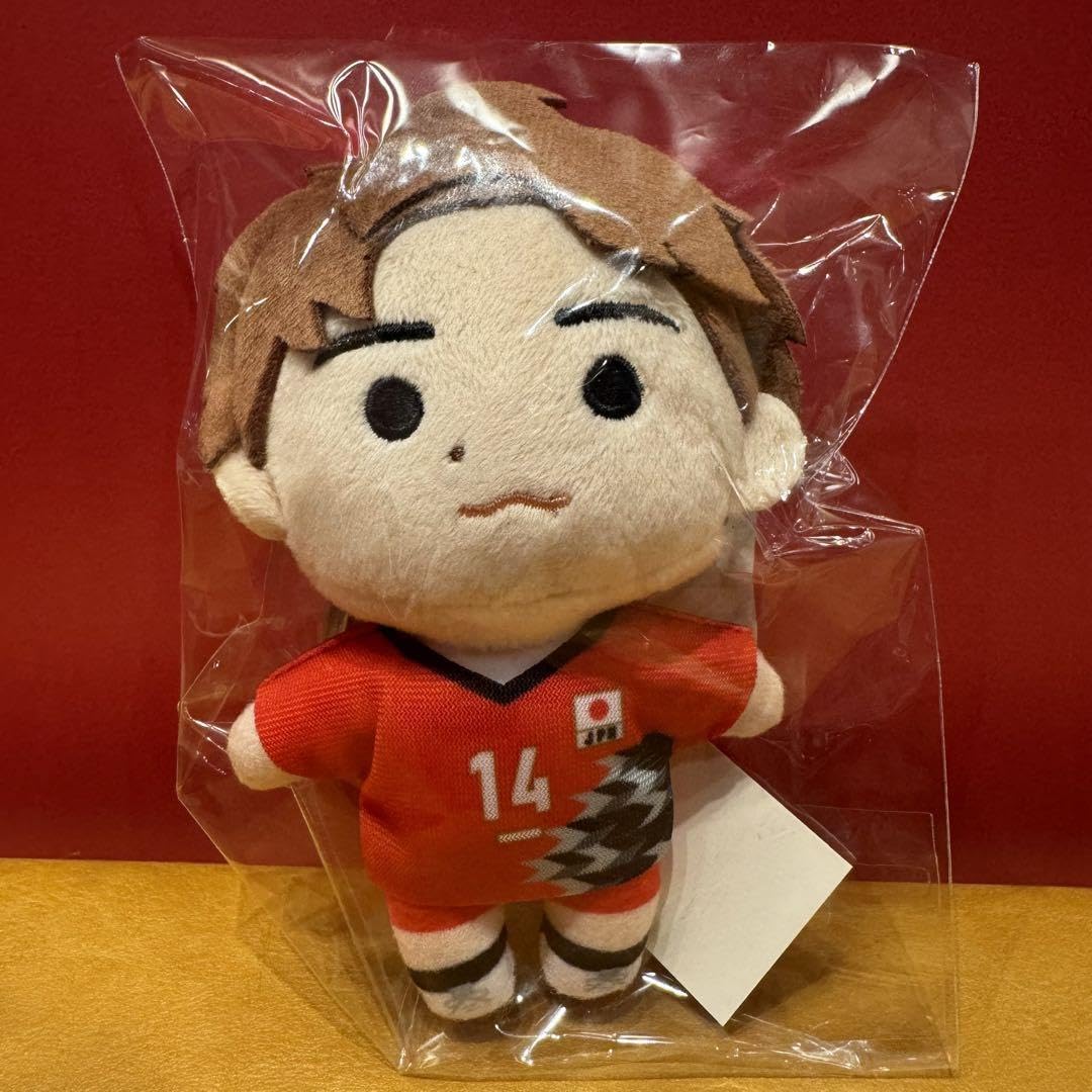 Amazon.co.jp: バレーボール 男子日本代表 ぬいぐるみキーホルダー