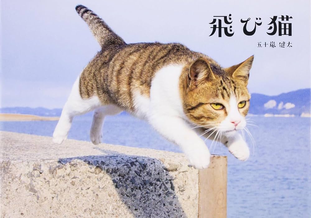 飛び猫 | 五十嵐 健太 |本 | 通販 | Amazon