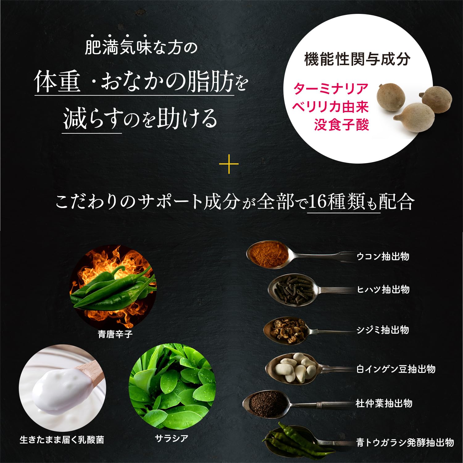 Amazon.co.jp: ターミナリアファースト 4 (機能性表示食品 / 120粒×1袋