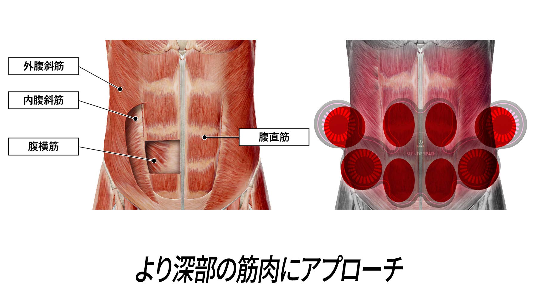 Amazon.co.jp: TBC エステティックTBC スレンダーパッド2 PRO（本体