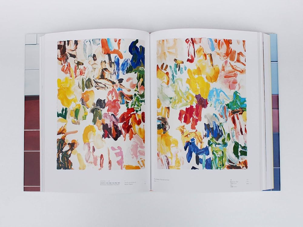 Amazon.co.jp: 岡﨑乾二郎 視覚のカイソウ : 岡﨑乾二郎: 本